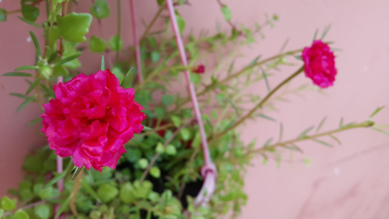Pama Hotel Kampong Chhnang Екстер'єр фото